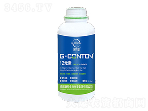 G-CONTON12Ԫ��-��ұ�-�A����