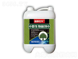 ΢�������-��̩�tţ