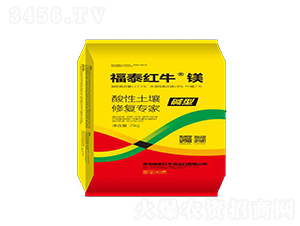 ���������ޏ͌���-��̩�t�����V