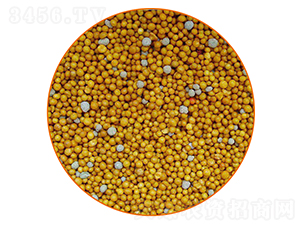 ��֬����-�����r(n��ng)�I(y��)