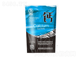 ��¡�}-��¡���B(t��i)