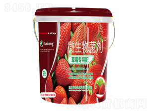 草莓專用肥-安隆生態(tài)