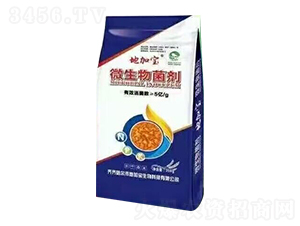 ΢�������-�ؼӌ�