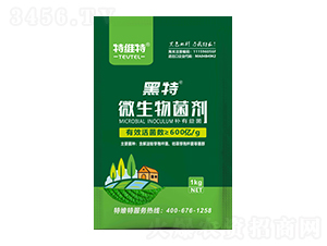 ����΢�������-�ؾS��