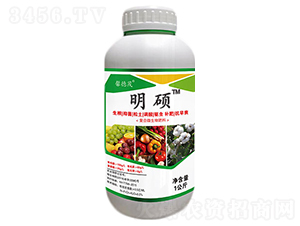 �ͺ�΢�������-���T-ܰ��ï