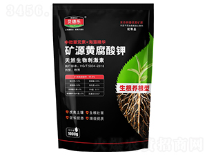 �|����VԴ�S�����-ؐ��