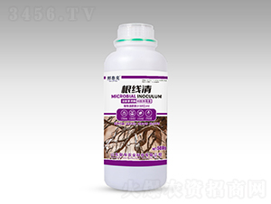 ������-��̩��-�H�A�r(n��ng)�I(y��)