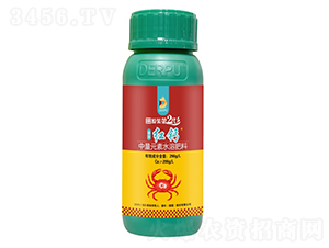 ��(gu��)�t�}-��