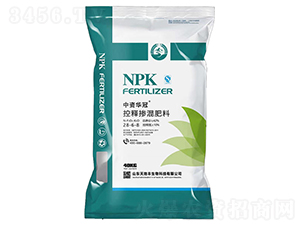 42%��ጓ������28-6-8-���Y�A��-����S