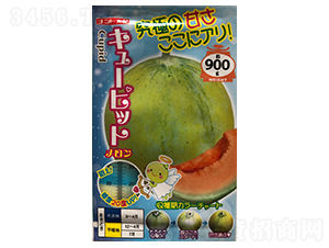 �����-��ϷN��-ɽ��ʢ�N��