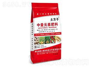 ����Ԫ�ط���-������-�ؿ�����