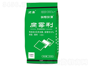 10%��ù��-��������-혼�