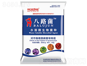 ˮ��΢������N-��·��-΢���ร