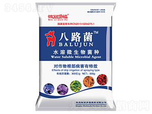 ˮ��΢������N��500g��-��·��-΢���ร