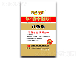 �ׄ���ͺ�΢�������-̽·���h-�Pʢ