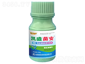 �Pʢ�簲�����I(y��)�������݄�Σ����-̽·���h-�Pʢ