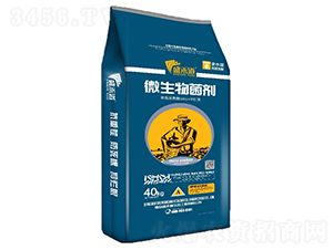 40kg΢�������-ʢ�̵�