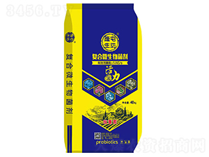 ������ͺ�΢�������-¡������