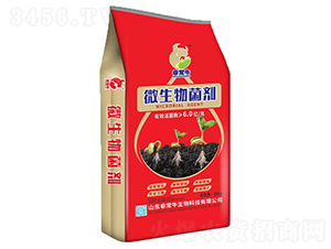 微生物菌劑-非常牛