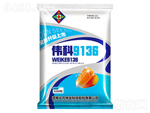 偉科9136-玉米種子-研創(chuàng)種業(yè)