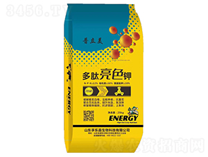 ������ɫ�-������-�ژ���