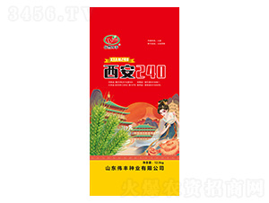 С���N��-����240-���S�N�I(y��)