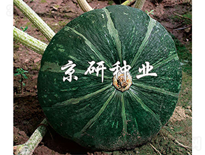 ���G��-�ϹϷN��-���зN�I(y��)