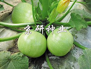 ����2̖(h��o)-�����J�N��-���зN�I(y��)