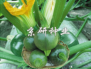 ����2̖(h��o)-�����J�N��-���зN�I(y��)