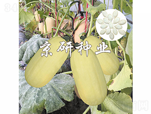 �������S2̖(h��o)-�����J�N��-���зN�I(y��)