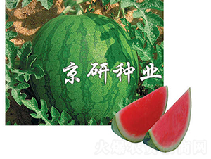 ��(gu��)��1̖(h��o)-���ϷN��-���зN�I(y��)