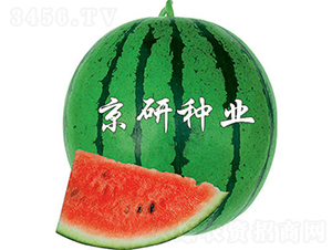 ����4̖(h��o)-���ϷN��-���зN�I(y��)