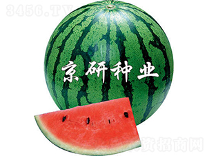 ����2̖(h��o)-���ϷN��-���зN�I(y��)