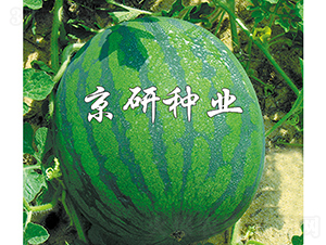 ��(gu��)��2̖(h��o)-���ϷN��-���зN�I(y��)