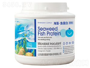 ���塤�~����ԭ��-ʢ��¡��