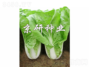 ���п��5̖(h��o)-�ײ˷N��-���зN�I(y��)