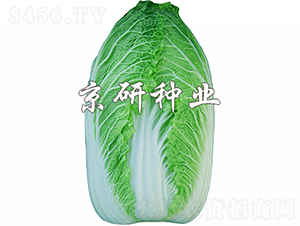 ����CR1-�ײ˷N��-���зN�I(y��)