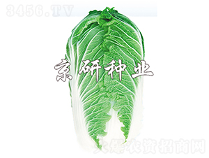 ����701-�ײ˷N��-���зN�I(y��)