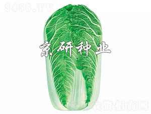 ����5̖(h��o)-�ײ˷N��-���зN�I(y��)