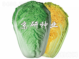 �����ۼt3̖(h��o)-�ײ˷N��-���зN�I(y��)