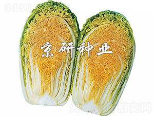 �����ۼt��-�ײ˷N��-���зN�I(y��)