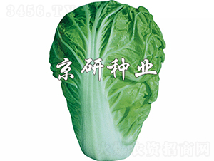 ����1̖(h��o)-�ײ˷N��-���зN�I(y��)