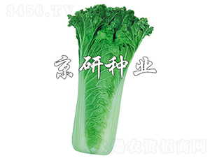 ����14-20-�ײ˷N��-���зN�I(y��)