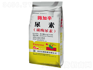 ̼ø����-�Y����-�|������