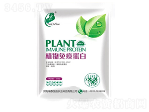 ֲ�����ߵ���-��̩���