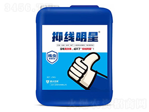 �־�����-����п�