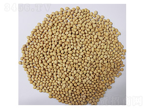 ���S61-�󶹷N��-���S�N�I(y��)