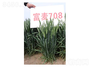 ����708-С���N��-���S�N�I(y��)