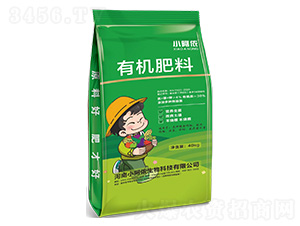 �ЙC(j��)����-С���z