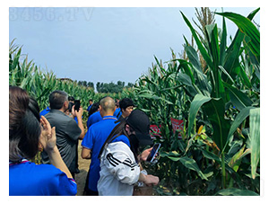 ����777�^Ħ-�͹��S